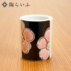 J JnuVX^h ꒿ԕ sN / 󑠗q uVX^h uV uVz_[ y lC j Ԃ