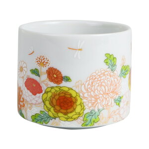 J 4킩Iׂ Jbv / irobiyori т c zďC |   fU[gJbv