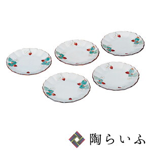 J 4.2M  / R aH M M fU[gM P[LM lC Mtg 蕨 j/j/j