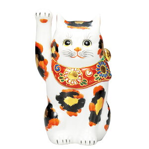 J 6L Oс u N L lC Mtg 蕨 j/j/j/