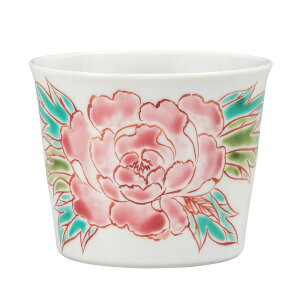 J Β O/Vc ΂傱 Jbv lC Mtg 蕨 j/j/j/