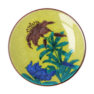 J M S31 iRNV / xq | 10.5 cm M M aH M { Mtg蕨 j ϔ