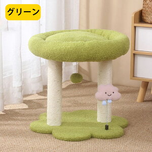 ySSP5z500~OFFN[| Lbgc[ L^[ u ܂Ƃ nbN t ^ qL VjA ^s L gȒP L ˂ ybg ybgObY ybgpi ~j lC 