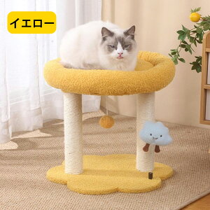 yP5z500~OFFN[| Lbgc[ L^[ u ܂Ƃ nbN t ^ qL VjA ^s L gȒP L ˂ ybg ybgObY ybgpi ~j lC 