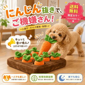 ノーズワーク にんじん 犬のおもちゃ ペット にんじん 畑 人参 ペット用品 犬 にんじん畑 ノーズワークマット 訓練 用品 嗅覚 トレーニング 犬 知育玩具 知育 犬用　噛む 犬のおもちゃ 音が鳴る ペット 犬用オモチャ