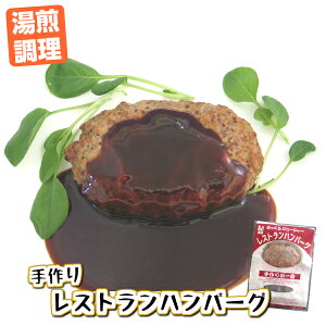 手作り ふっくら 2食入 レストランハンバーグ 〜 デミグラスソース 〜 湯煎 ハンバーグ 温めるだけ 簡単調理 レトルト 惣菜 国内製造 おかず 冷凍 ドミグラス 時短 総菜 冷凍総菜 冷凍惣菜 デ