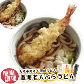 簡単調理 天然 車海老 冷凍 冷凍食品 セット【車えび天ぷらうどん　2食入】1人前1本 特大 で食べ応えあり の 天ぷら うどん お昼 に 便利 昼食 蕎麦 えび天 海老天 てんぷら 讃岐うどん 天うどん ざるうどん