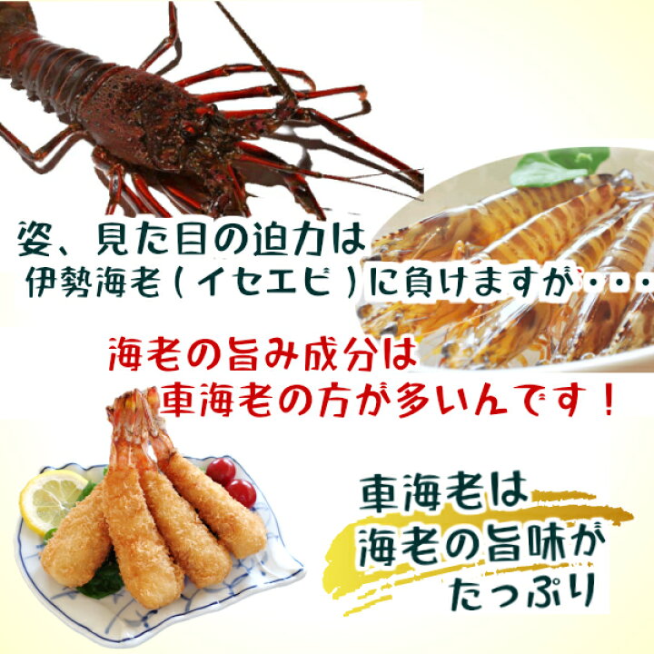 楽天市場 特大 エビフライ 10本 海老フライ 車海老 冷凍 揚げ物 天然くるまえびふらい 特大10本 衣率約38 正直な 衣と身の黄金比率 天然 車えび １００ 使用 冷凍食品 お弁当 オードブル 揚げるだけ 時短 惣菜 おかず ギフト お取り寄せ グルメ 東北 冷凍食品