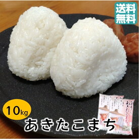 ＼クーポンで350円OFF／令和5年産 新米 送料無料 秋田県産 お米屋さんが吟味した味 あきたこまち 10kg 白米 精米 秋田産 おこめ お米 今年度産 1等米 一等米 ごはん 弁当 お弁当 こまち 美味しい うまい 米 10キロ こめ 令和5年