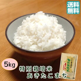 【4/18はポイント2倍】令和5年産 送料無料 秋田県産 特別栽培米 あきたこまち 5kg 白米 精米 特定農薬の使用を抑える 秋田産 おこめ お米 今年度産 1等米 一等米 ごはん 弁当 お弁当 こまち 美味しい うまい 米 5キロ こめ