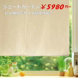 [}VF[h VF[hJ[e 1cmPʃI[_[ Ռ ՔM 􂦂 ȃGl 蓮EAC100VE[dI zsv ʕtEVtΉ v[X^C V[vX^C Y v