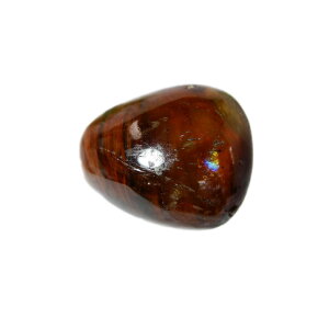 yN[|10%OFFzK[fNH[c I[o Y Yn uW Garden Quartz 뉀 ۓ萅 N[Cg VR z 1_ iBe GO-74