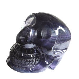 �y�N�[�|����10%OFF�z�X�J�� �[�� �h�N�� �t���[���C�g �Y�n �u���W�� Fluorite ���[�Y�t���[���C�g �u�� �t���[�X�p�[ �V�R�� �z�� 1�_���� ���i�B�e SKR-35