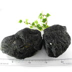 【クーポンで10%OFF】ブラックトルマリン 原石 塊 1個売り 900g〜1kg 産地 ブラジル black tourmaline 電気石 ショール 10月 誕生石 天然石 鉱物 AA9-10