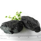 【クーポンで10%OFF】ブラックトルマリン 原石 塊 1個売り 1〜1.1kg 産地 ブラジル black tourmaline 電気石 ショール 10月 誕生石 天然石 鉱物 AA10-11