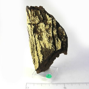 yN[|10%OFFzNH[c I ygt@ChEbh  Yn hCc Petrified Wood ] Ζ EbhXg[ Vt@ChEbh VR z 1_ iBe QPW-8