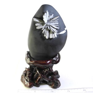 yN[|10%OFFzeԐ NTX}Xg[ F D S⒆̕ 1_ iBe KIK-41