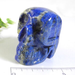 �y�N�[�|����10%OFF�z���s�X���Y�� �X�J�� �[�� �h�N�� �Y�n �A�t�K�j�X�^�� lapis lazuli �ڗ� 12�� �a���� �V�R�� �z�� 1�_���� ���i�B�e SKR-37
