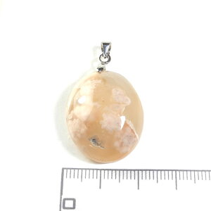 yN[|10%OFFz TNmE `F[ubT AQ[g y_ggbv 1_ iBe SAK-6