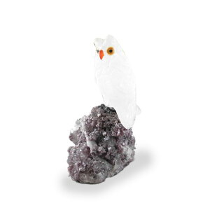 �y�N�[�|����10%OFF�z�J�[�r���O �ӂ��낤 FUK-28