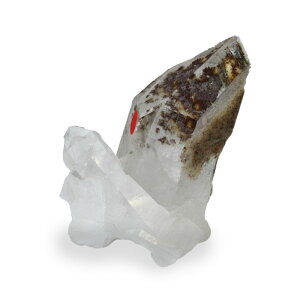 yN[|10%OFFzK[fNH[c NX^[ X  Yn uW Garden Quartz 뉀 ۓ萅 N[Cg VR z 1_ iBe GRG-126