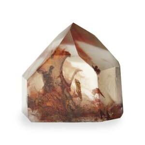 yN[|10%OFFzbhK[fNH[c |Cg  Yn uW Garden Quartz 뉀 ۓ萅 N[Cg VR z 1_ iBe GQR-1