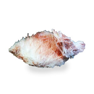 �y�N�[�|����10%OFF�z�X�R���X���� Scolcite NAR-1