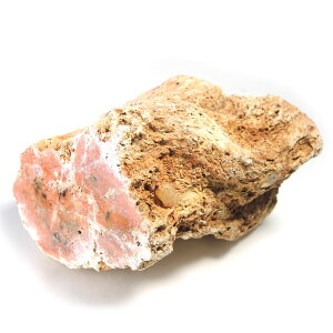 yN[|10%OFFzygt@ChEbh  Yn }_KXJ Petrified Wood ] Ζ EbhXg[ Vt@ChEbh VR z 1_ iBe WOP-143