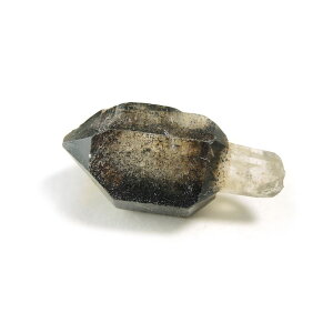 yN[|10%OFFzZv^[NH[c  ̂ ┐ 󏭌 RN^[  AXg[ X[L[NH[c 1_ iBe SPSM-7