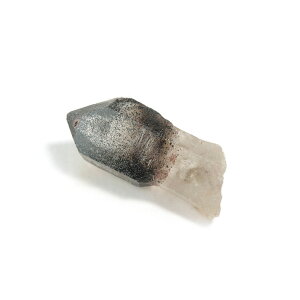 yN[|10%OFFzZv^[NH[c X[L[NH[c  ̂ ┐ 󏭌 RN^[  AXg[ 1_ iBe SPSM-9