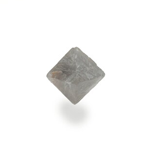 �y�N�[�|����10%OFF�z�O���[���t���[���C�g �V�R8�ʑ� �Y�n �u���W�� Fluorite �u�� �t���[�X�p�[ �V�R�� �z�� 1�_���� ���i�B�e FL8-34
