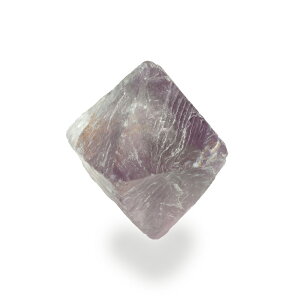 �y�N�[�|����10%OFF�z�p�[�v���t���[���C�g �V�R8�ʑ� �Y�n �u���W�� Fluorite �u�� �t���[�X�p�[ �V�R�� �z�� 1�_���� ���i�B�e FL8-32