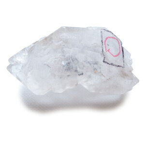 �y�N�[�|����10%OFF�z������G���V���� WAQ-79