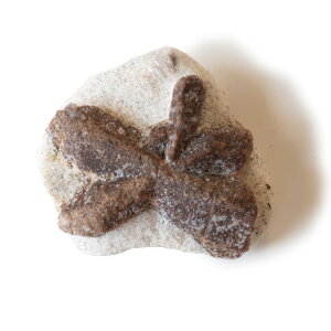 yN[|10%OFFzX^ECg Staurolite \ 1_ iBe STR-123