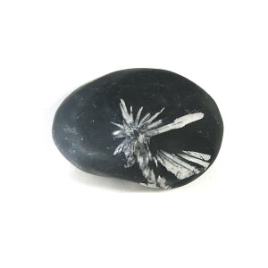 �y�N�[�|����10%OFF�z�e�Ԑ� �N���T���X�}���X�g�[�� ���F�� �D�� �S�⒆�̕���� 1�_���� ���i�B�e KIK-52