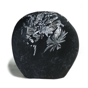 yN[|10%OFFzeԐ NTX}Xg[ F D S⒆̕ 1_ iBe KIK-54