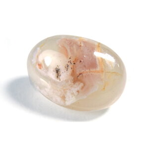 yN[|10%OFFz TNmE `F[ubT AQ[g ^u |bV@ 1_ iBe SAKM-10