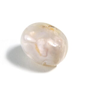 yN[|10%OFFz TNmE `F[ubT AQ[g ^u |bV@ 1_ iBe SAKM-11