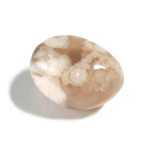 yN[|10%OFFz TNmE `F[ubT AQ[g ^u |bV@ 1_ iBe SAKM-9