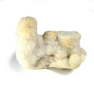 �y�N�[�|����10%OFF�z�J�N�^�X�N�H�[�c �X�s���b�g�N�H�[�c �}�X�^�[�N���X�^�� ���� �Y�n ��A�t���J���a�� �V�R�� �z�� 1�_���� ���i�B�e CAC-122