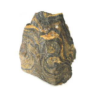 yN[|10%OFFzj VAmoNeAiXg}gCgj cyanobacteria 1_ iBe SIA-1