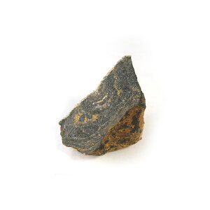 yN[|10%OFFzj VAmoNeAiXg}gCgj cyanobacteria 1_ iBe SIA-8