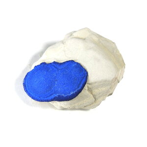 yN[|10%OFFzAYCgT  Yn I[XgA Azurite sun AWCg }Eeu[ z VR z 1_ iBe AZA-34