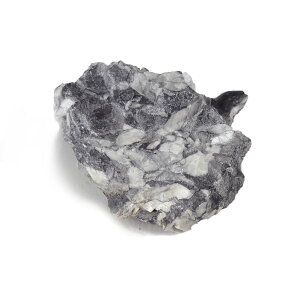 yN[|10%OFFz smCgiPinolitej 1_ iBe PIL-1