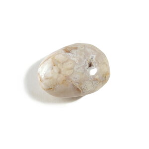 yN[|10%OFFz TNmE `F[ubT AQ[g ^u |bV@ 1_ iBe SAKM-21