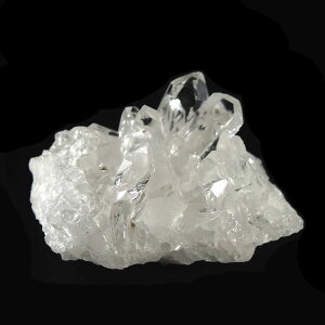 yN[|10%OFFzuWY  ~j NX^[ NH[c Crystal   z 򉻗p u  NX^[ NX^[ p[Xg[  lC  VR COA