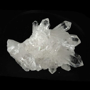 yN[|10%OFFzuWY  ~j NX^[ NH[c Crystal   z 򉻗p u  NX^[ NX^[ p[Xg[  lC  VR COA