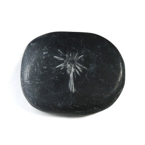 yN[|10%OFFzeԐ NTX}Xg[ F D S⒆̕ 1_ iBe KIK-62