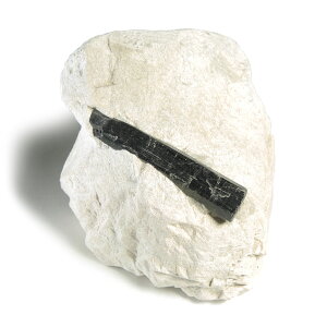 【クーポンで10%OFF】母岩付き ブラックトルマリン black tourmaline 電気石 ショール 10月 誕生石 天然石 鉱物 1点もの 現品撮影 TC-95