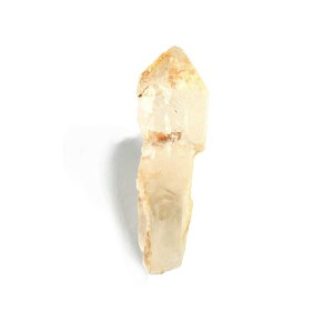 yN[|10%OFFzZv^[NH[c  ̂ ┐ }X^[NX^ 󏭌 RN^[  AXg[ 1_ iBe SPQ-25